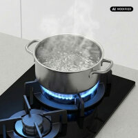 Gas Hob self-sufficient G302G